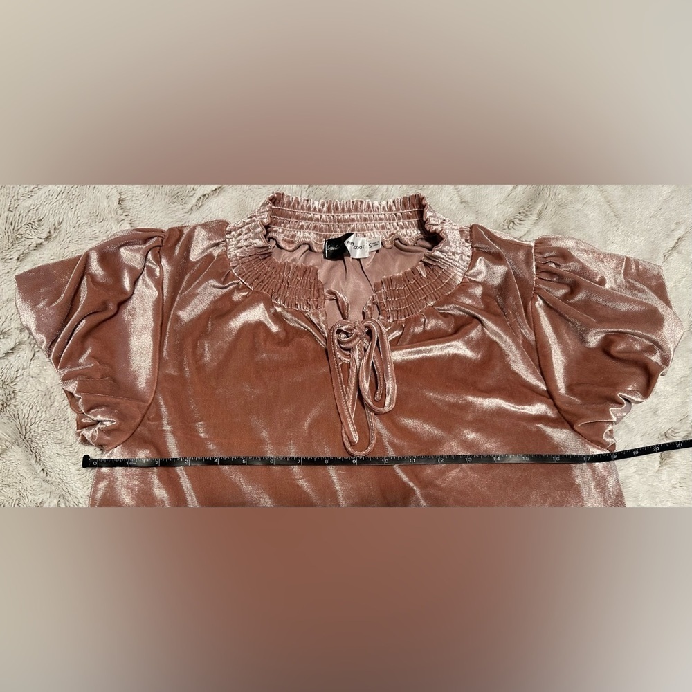 Piper & Scoot Women's Pink Velvet Puff Sleeve Blouse - Picture 2 of 8